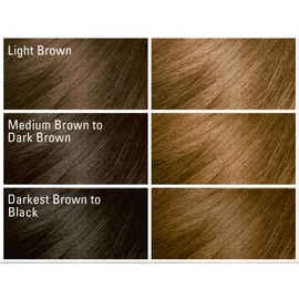 SoftSheen-Carson SoftSheen-Carson Dark and Lovely Fade Resist Rich Conditioning Hair Color, Permanent Hair Color, Up To 100 percent Gray Coverage, Brilliant Shine with Argan Oil and Vitamin E, Golden Bronze