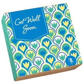 Fairytale Brownies Get Well SUGAR-FREE Magic Morsel 24 Individually Wrapped Gourmet Chocolate Food Gift Basket - 1.5 Inch x 1.5 Inch Bite-Size Brownies - 24 Pieces - Item CJ524