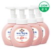 iClean Hand Wash 250ml container x 4, 2. Pure container 250ml x 4 / 아이깨끗해 핸드워시 250ml 용기 x 4개, 2.순 용기 250ml x 4개