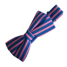 Hand Fun Modern Bow Alligator Hair Clips – Assorted Colours and Models