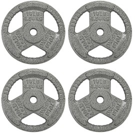 Fitvids Cast Iron Plate Weight Plate for Strength Training and Weightlifting, 1-Inch Center, 10LB (Set of 4)