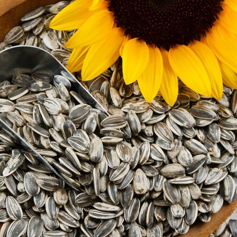 CHACHA - Roasted Sun Shade Karam (1 x 160 g)