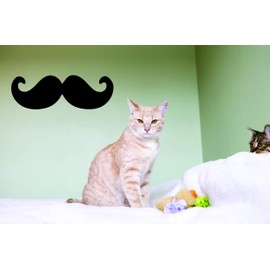 Vinyl Wall Decal Sticker : Mustache Image Bedroom Bathroom Living Room Picture Art Peel & Stick Mural Size: 12 Inches X 20 Inches