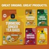 FGO Organic Turmeric Ginger Tea, Eco-Conscious Tea Bags, 100 Count,