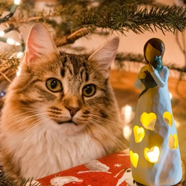 Gifts for Women Cat Angel Candle Holder Statue Flickering Led Candle - Pet Loss Gifts, Cat Lovers Gifts for Women, Sympathy Gift Ideas for Loss of Cat, Angel Figurines Cat Decor