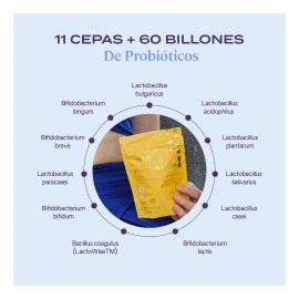B-fit Plus Probio 11 Cepas 60 Cápsulas Probiotico Natural Sabor Sin sabor