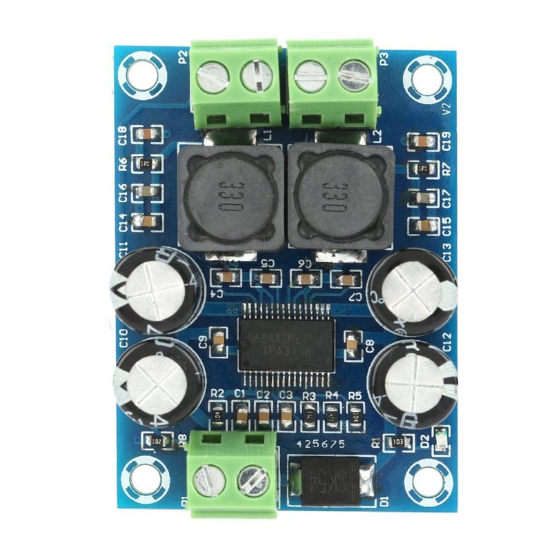 Dilwe 60W DC10-24V TPA3118 Subwoofer Amplifier Board, Mini Digital Audio