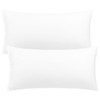 PiccoCasa Microfiber 110GSM Zippered Pillow Case Set of 2 Pillow
