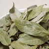 참두리 참가시나무잎 300g (국내산) Chamduri Shinseonbong Leaf 300g (Domestic)