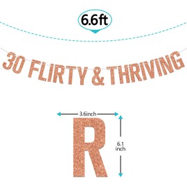 30 Flirty & Thriving Banner, Cheers to 30 Years/30 & Fabulous Bunting Sign, Happy 30th Birthday Anniversary Party Decorations Supplies, Rose Gold Glitter