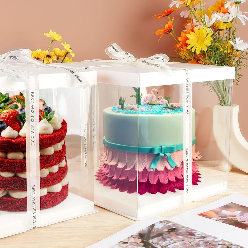 Taiyin 9 Pcs Large Tall Clear Cake Box 10''x10''x9'' White