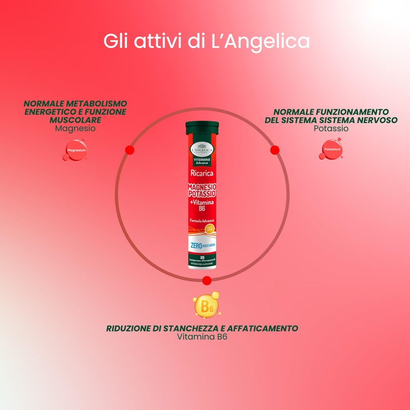 L'Angelica Vitamine e Sali Minerali, Magnesio e Potassio + Vitamina