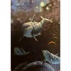 3-D Lenticular Wildlife Trading Card Set - Bear-Frog-Wolf