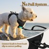 rabbitgoo rabbitgoo Dog Harness No Pull with 2 Leash Clips,
