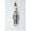 Brisk 1462 Spark Plugs
