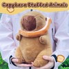 NuomiYue 9" Capybara Stuffed Animals for Girls and Boys, Cute
