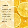 Vitamin C Serum Skin Brightening Hydrating Firming Antioxidant Vitamin C