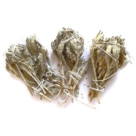 Farbenwald - White Sage Torches, D Ware, for Smoking, Approx. 11 cm Long, Bundles are Broken, from California, Smudge Sticks, Salvia Apiana