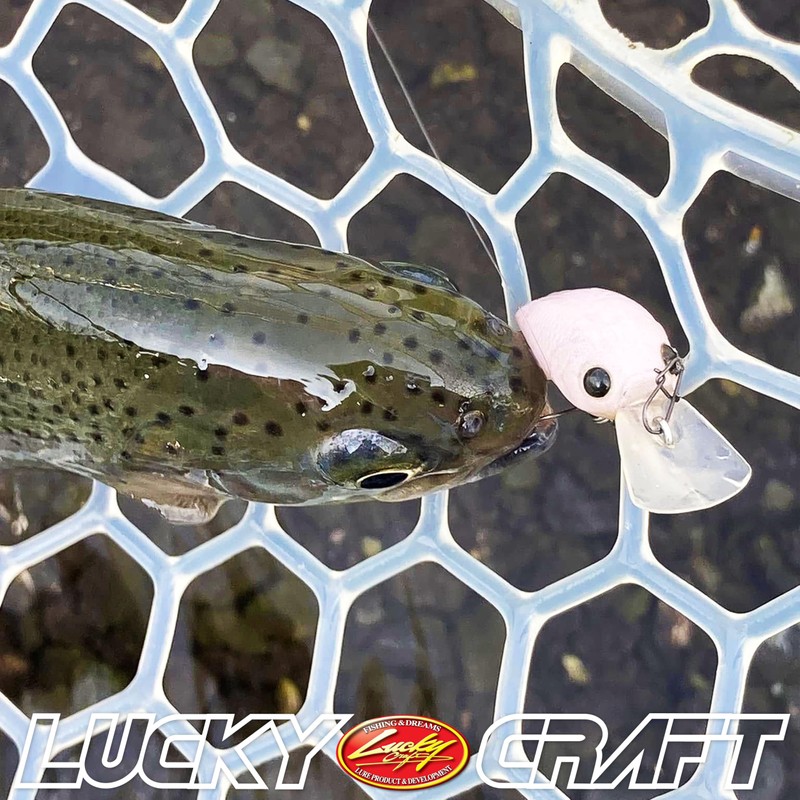 LUCKY CRAFT Micro Kra Pi DR 2 Hook SS Fishing
