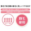 Petio Precision Polish Brush for Soft Cat