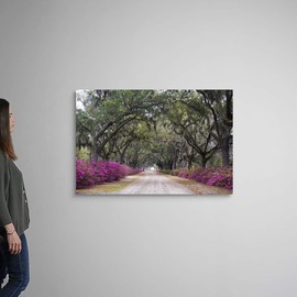 Georgia, Savannah. Bonaventure Cemetery with Azaleas Blooming in Savannah Georgia Canvas Wall Art.
