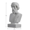 Estatua de Alabastro de Platón Busto Griego Padre de Filosofía,