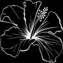 Decal Stickers of Hawaiian Hibiscus Outline Laser (White) (Set of 2) Premium Waterproof Vinyl Decal Stickers for Laptop Phone Accessory Helmet Car Window Mug Tuber Cup Door - ANDstic603105WH