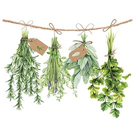 Napkin Fresh Herbs Pack of 20