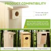 House Sparrow Trap, Replacement for Van ERT Universal Sparrow Trap