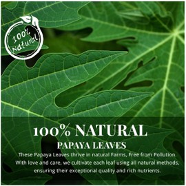 Akshit Dried Papaya Leaves, Hojas de Papaya Secas, Fresh Tea, 5.2oz, Natural Papaya Leaf Tea, Perfect For Papaya Leaf Tea, Leaf Extract, Non-GMO. Pack Of 1