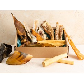 PET IMPACT Natural Dog Chews, Tasty Long Lasting Variety Box of Doggy Chews, All Natural Treats - Chewy Yummy Chews for Adult Dogs (Cool Climate Chews, Large)