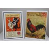 PPD 50 Sheets A4 Inkjet Matt Photo Paper 230gsm Super
