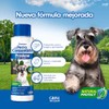 Shampoo Del Perro Consentido 500ml