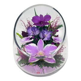 Fiora Flower Elegant Orchid Arrangement in Glass Vase | Preserved Real Orchids Lasting 5 Years | Ideal for Home Decor or Romantic Gift