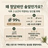 Cheongdang Pine Needle Extract, 100% Domestic, 60 Tablets, 1 Pack