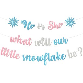 Snowflake Gender Reveal Banner - Winter Wonderland Decorations