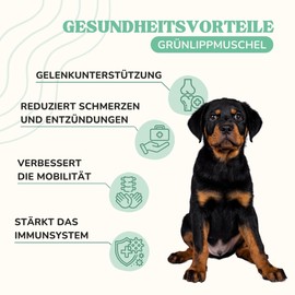 Lamina Care - Green-lipped mussel dog with glucosamine and omega 3 with high acceptance, green-lipped mussel powder dog for natural strengthening of joints, green-lipped mussel cat to improve mobility