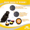 PetnBeyond Dog Talking Buttons - Communication Starter Pack, 4 PCS