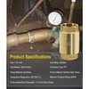 1 1/4 Inch Brass Check Valve for Well Pump, One