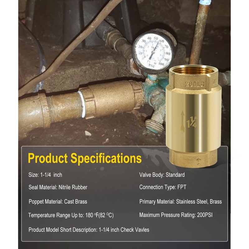 1 1/4 Inch Brass Check Valve for Well Pump, One