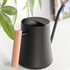 Stainless Steel Watering Can Pot Retro Small Plant Watering Can
