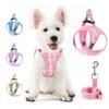 voopet Small Dog Harness and Leash Lightweight Cat Comfort Padded