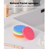 50-Count Compressed Face Sponges for Aestheticians, 100% Natural Cellulose Face