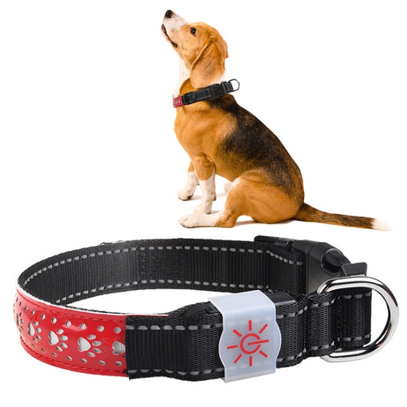 LED Pet Glowing Adjustable Safety Rechargeable Collar USB Charging for