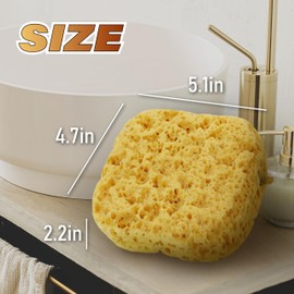 myHomeBody Bath Sponge, Foam Loofah Sponge, Body Sponge for Shower - Large Size, Lots of Lather, Square, 3 Pack