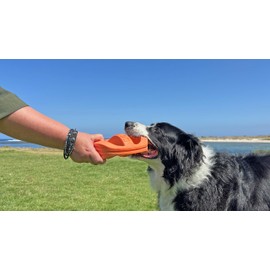 Van Ness Pets Doggi Catch and Carry Flying Disc Floating Dog Toy, Large, Orange