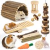 Sofier Hamster, Guinea Pig Toys Accessories Natural Chews for Teeth