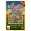 Everwilde Farms - 200 Small Burnet Native Wildflower Seeds -