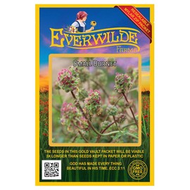 Everwilde Farms - 200 Small Burnet Native Wildflower Seeds - Gold Vault Seed Packet