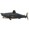 Sharks Model Simulation Marine Ocean Sea Life Toy Animal Rare